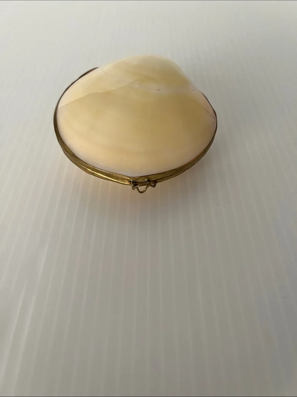 Vintage Polished Natural Clam Shell Trinket Box